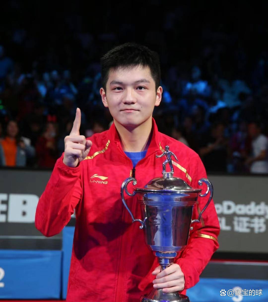 奥地利队险胜日本队,樊振东关键制胜 奥地利队险胜日本队,樊振东关键制胜