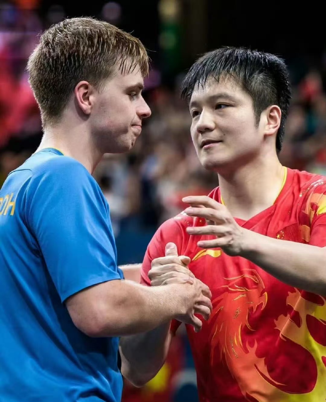 瑞典队险胜德国队，樊振东高光表现