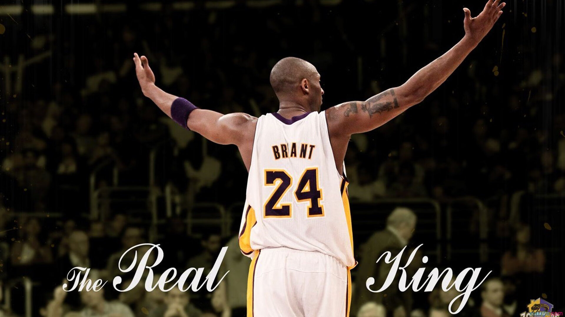 跨界主宰，从灰熊力克广厦到英格拉姆欧冠封神，竞技体育的唯一性光芒